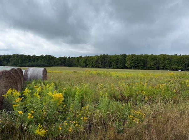 N19629 CTH H, Goodman, WI 54125
