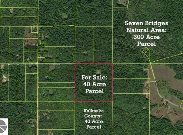 NW Morrison Road, Rapid City, MI 49676