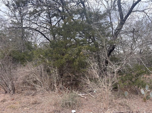 Pearson Rd, Cedar Creek, TX 78616