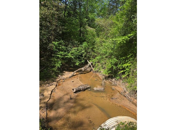 0 MAGNOLIA DR, Georgetown, GA 39854