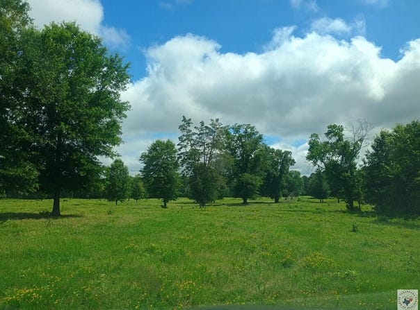 TRACT 18 HWY 990, Simms, TX 75574