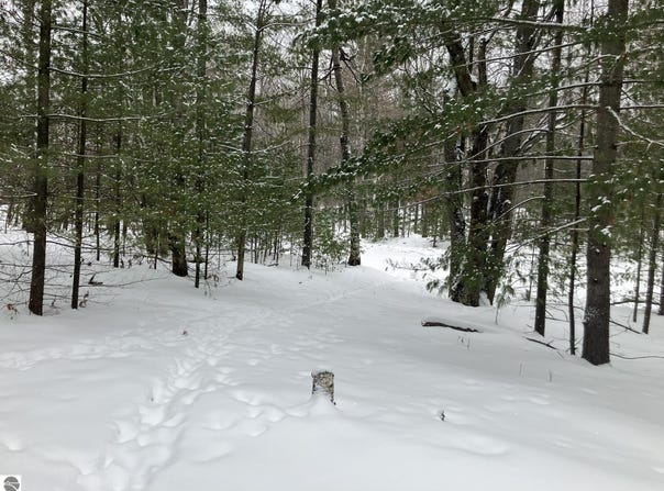 VL Wilderness Circle, Alger, MI 48610