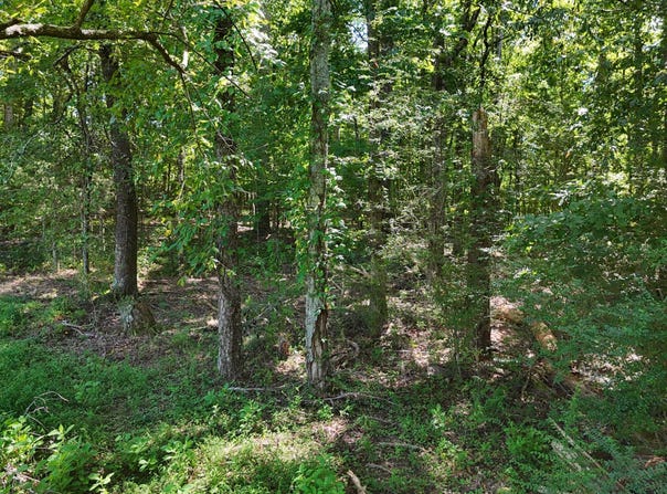 Fezzell Road, Decatur, TN 37322