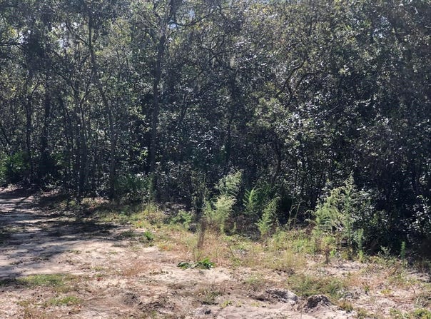 Oregon Street, Interlachen, FL 32148