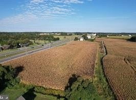 15519 COASTAL HWY, MILTON, DE 19968