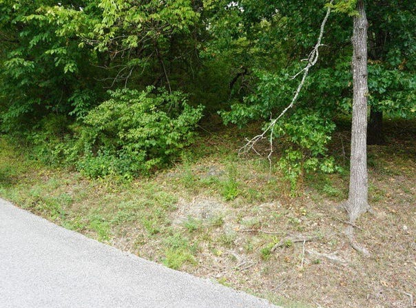 Cannon Ball Loop lot: 46, Branson, MO 65616