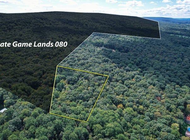 001 Trophy Drive, Pine Grove, PA 17963