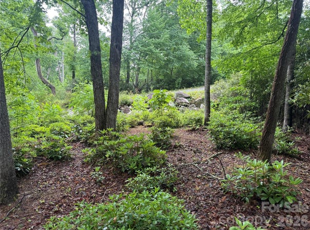 Dogwood Trail, Spruce Pine, NC 28777