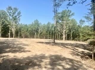 Tract 1&2 W Highway 32, Licking, MO 65542