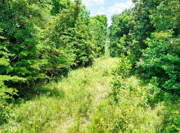 1 Ditney Hill Rd, Drakesboro, KY 42337