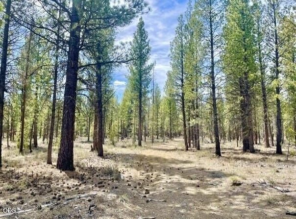 50160 Darlene Way, La Pine, OR 97739