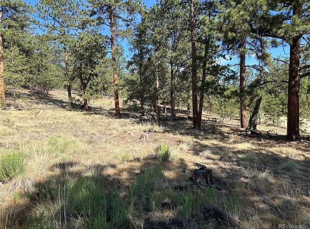 565 Hayhook Way, Hartsel, CO 80449