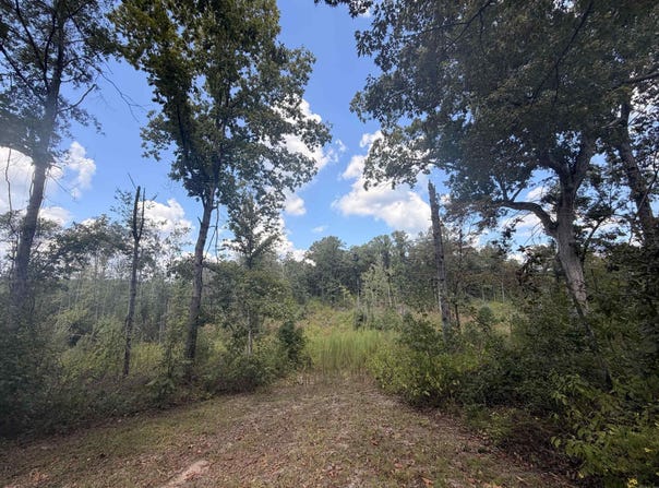 49 Nevada, Buckner, AR 71827