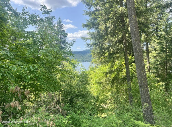 00NKA Lakeview Dr., Harrison, ID 83833