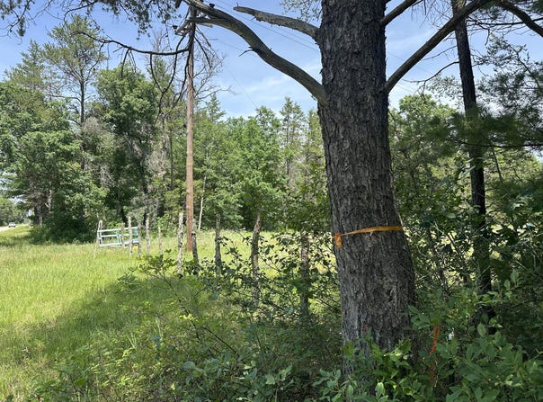 S Broadway Street, Idlewild, MI 49642