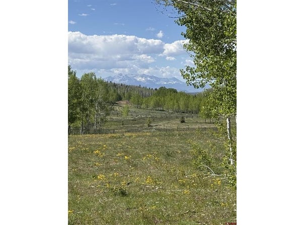 Divide/ Davewood Road, Montrose, CO 81403