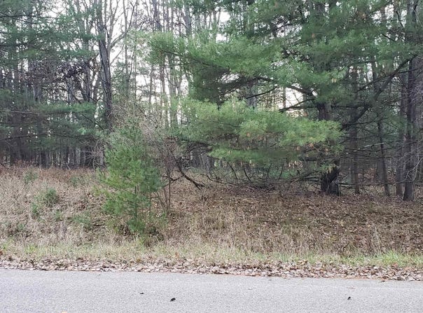 Robindale Way, Gladwin, MI 48624
