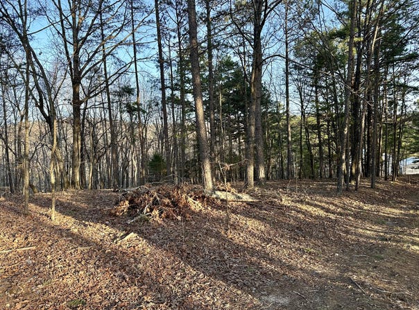 Brown Road Lot, Van Buren, MO 63965