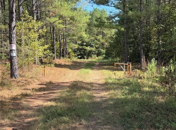 90 Lewis Lane, Edgefield, SC 29824