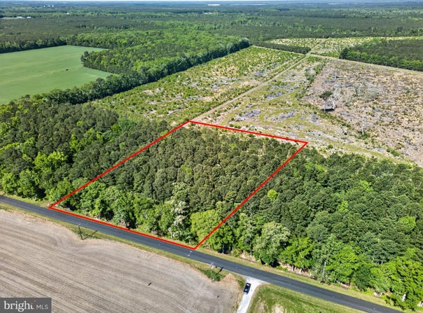 DOWNS, NEWARK, MD 21841