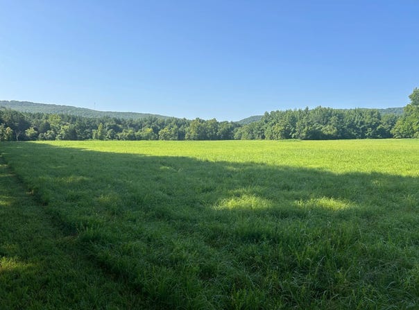 20124B N Highway 23, Ozark, AR 72949