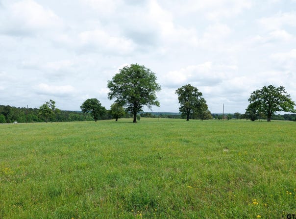 An CR 336, Palestine, TX 75803
