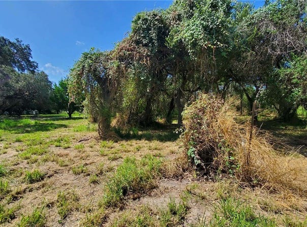 Mooney Lane lot: 2, Ingleside, TX 78362