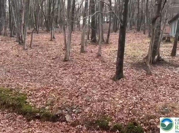 124 Shawnee Trail, Penn Forest Twp, PA 18210