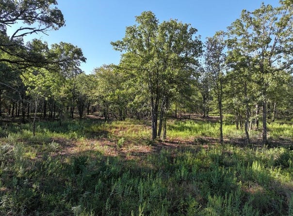 8602 CR 2448, Kemp, TX 75143