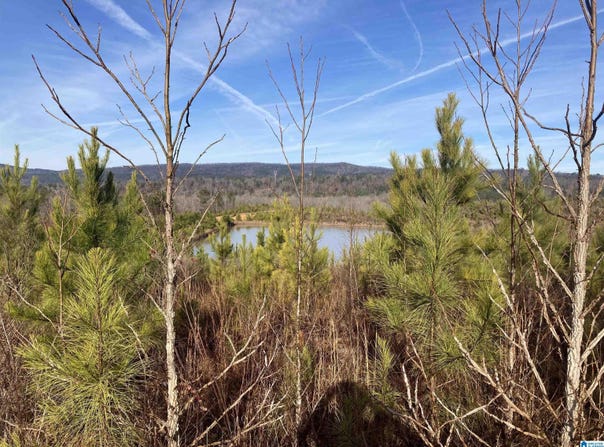 13699 HIGHWAY 55, WESTOVER, AL 35186