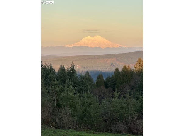 212 Suncrest Dr, CastleRock, WA 98611