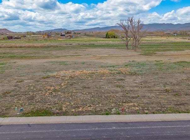 TBD Lot 20 Apple Grove Street, Montrose, CO 81401