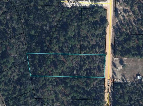 Wood Avenue, Alford, FL 32420