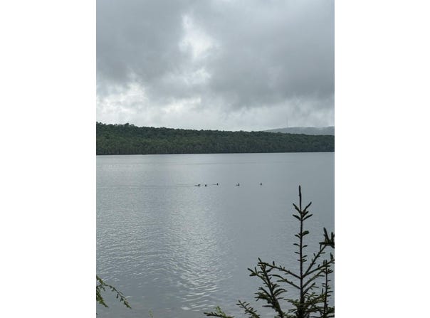 416 S Shore Road, Island Falls, ME 04747