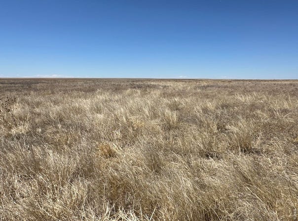 12345 Road 22, Haswell, CO 81045