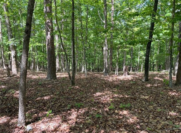 TR 1A Chalcrest Way, Cave Spring, GA 30124