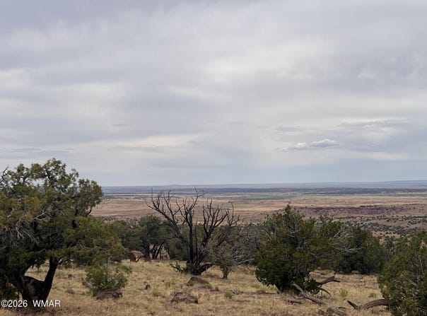 N8526 lot: 8, Concho, AZ 85924