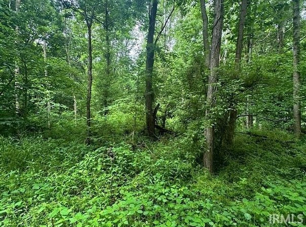 Lakeside Drive, Spencer, IN 47460
