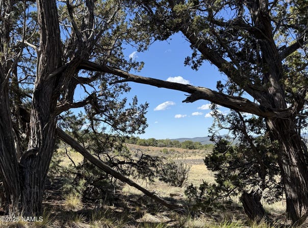 Palomino Dr, Williams, AZ 86046