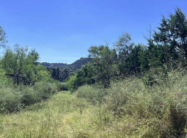 Lower Crabapple Rd, Fredericksburg, TX 78624