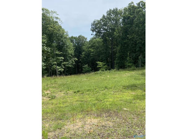 42 Watson Grande Way, Owens Cross Roads, AL 35763