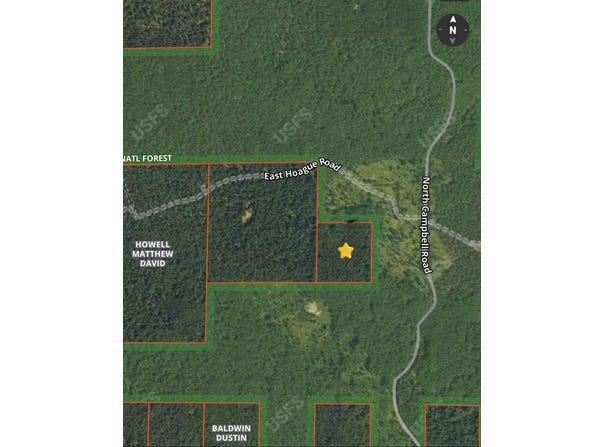 V/L E Hoague Road, Free Soil, MI 49411