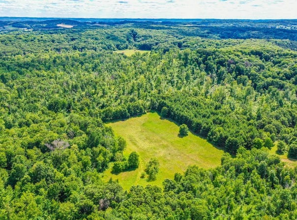 Lowes Creek Road, Eleva, WI 54738