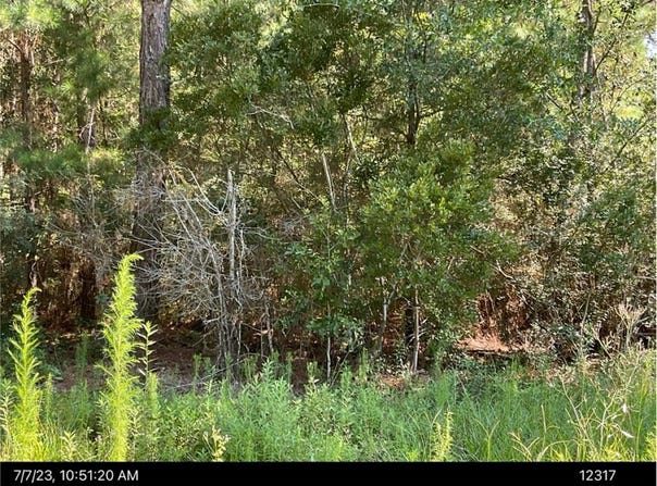 Wanda Way, Tifton, GA 31794