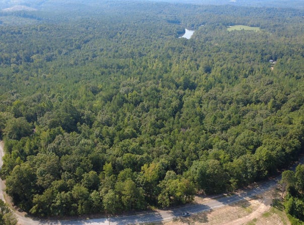 MORTON CHAPEL Rd, Vernon, AL 35592