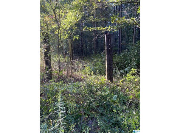 LINCOLN ROAD lot: 6.0, CLEVELAND, AL 35049