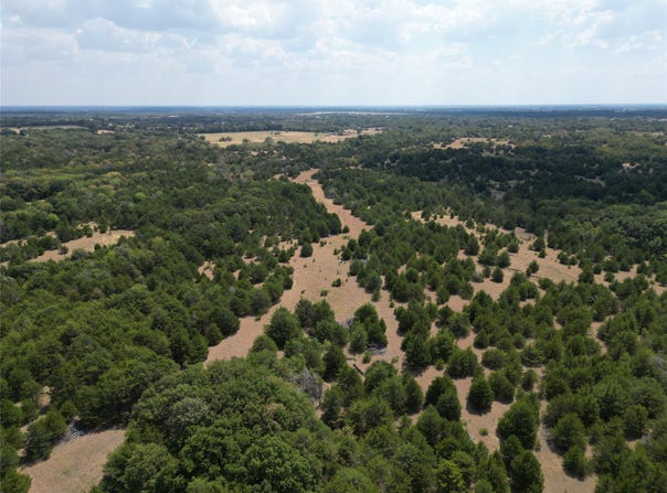 25 acres County Road 1019, Celeste, TX 75423