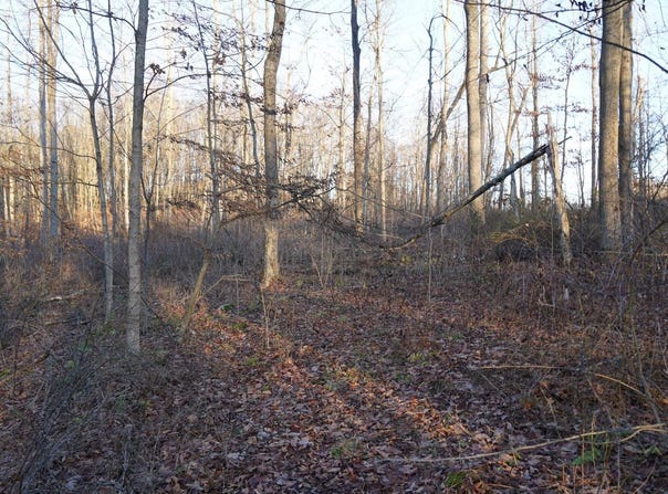 Klondike Rd. lot: 1, Confluence, PA 15424