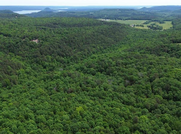 E Mountain Road, Bee Branch, AR 72013