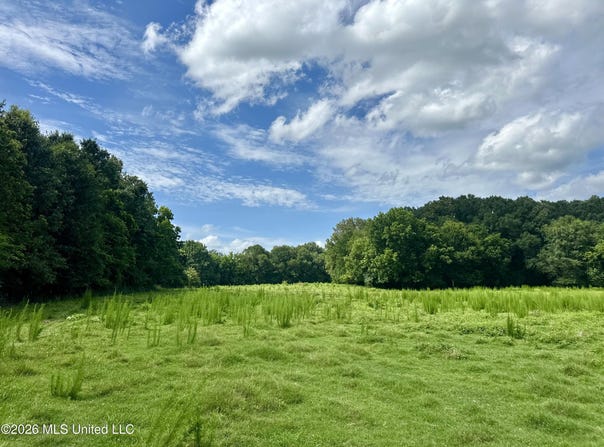 Lexington Road, Pickens, MS 39146